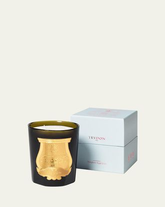 Cire Trudon Ernesto Intermezzo Candle, Leather and Tobacco