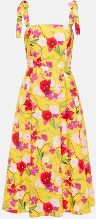 Carolina Herrera Floral cotton midi dress
