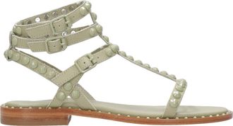 Ash Sandali di cenere