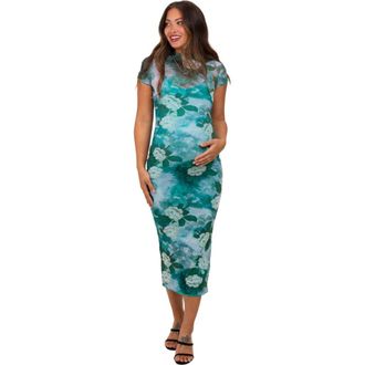 Pinkblush Floral Mesh Overlay Fitted Maxi Dress in Green at Nordstrom, Size Small