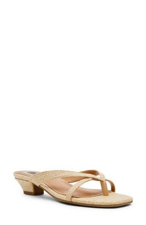 Dolce Vita Bex Kitten Heel Sandal in Raffia at Nordstrom Rack, Size 9.5