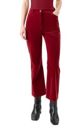 Akris Cali Stretch Velveteen Crop Bootcut Pants in Cranberry at Nordstrom, Size 12