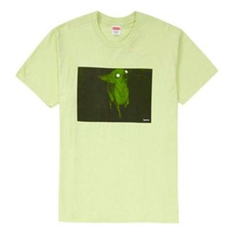 SUPREME FW18 Chris Cunningham Chihuahua Pale Mint Tee SUP-FW18-836