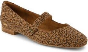 Toms Bianca Mary Jane Flat in Brown at Nordstrom Rack, Size 9.5