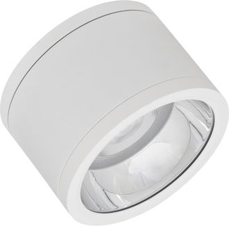 GreenIce Ledvance Dl Surface Ip65 30w, 4950lm, Ik06, Resistente Al Polvo Y La Humedad, 4058075769151