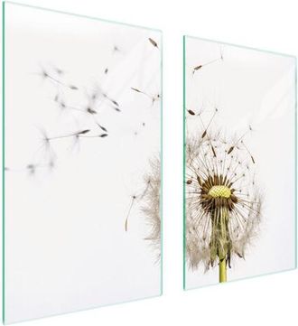 OEM Placa Protectora De Vidrio Para Estufa 75x52 Flor