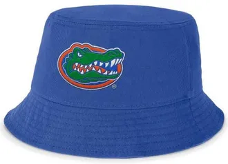 Jordan Brand Mens Jordan Brand Royal Florida Gators Local Apex Bucket Hat at Nordstrom, Size Small