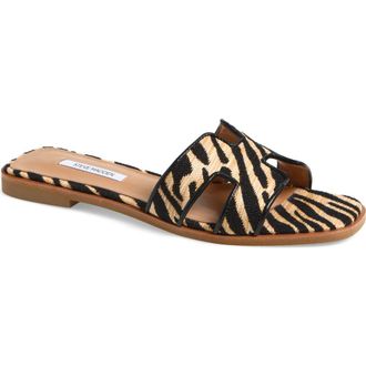 Steve Madden Hadyn Slide Sandal in Zebra at Nordstrom, Size 6.5