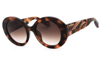 Roberto Cavalli SRC010M 02BV Shaded Dark Havana/Brown Gradient