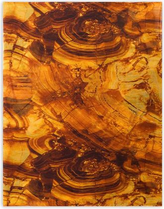 Roberto Cavalli Foulard con stampa astratta - Marrone