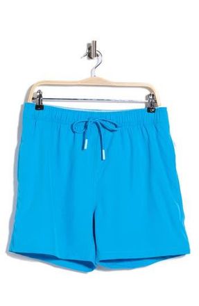 Vintage Summer Swimwear Performance Volley Swim Shorts in Bright Blue at Nordstrom Rack, Size Xx-Large