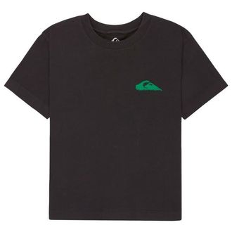 Quiksilver Standard S/S Tee T-Shirt f&uuml;r Damen | schwarz