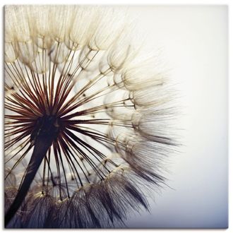 Artland Wandbild »Grosse Pusteblume« 1 Stk. tlg. als Alubild, Outdoorbild, Leinwandbild, Poster, Wandaufkleber