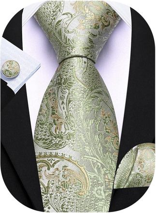 Barry.Wang Mens Sage Green Tie Silk Paisley Necktie Pocket Square Cufflinks Set Wedding Party Formal