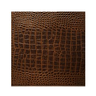 Posh Trading Company Set of Two Placemats - Vintage Croc in Brown
