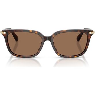 Swarovski 56mm Pillow Sunglasses in Havana /Dark Brown at Nordstrom