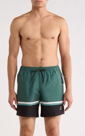 Psycho Bunny Hanks Colorblock Swim Trunks in Garden Topiary at Nordstrom Rack, Size X-Large