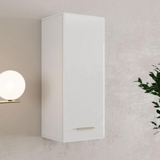 Dmora Mueble Colgante Fresis, 2 Estantes, Una Puerta, 3 Compartimentos, 39x96h Cm Blanco Mate