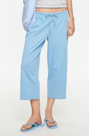 Lioness Juicy Cropped Pants in Soft Blue at Nordstrom, Size X-Large