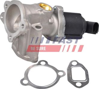 OEM V&aacute;lvula Egr Ft60228 R&aacute;pida