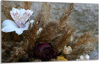 OEM Placa Protectora De Vidrio Para La Estufa 80x52 Orchidea