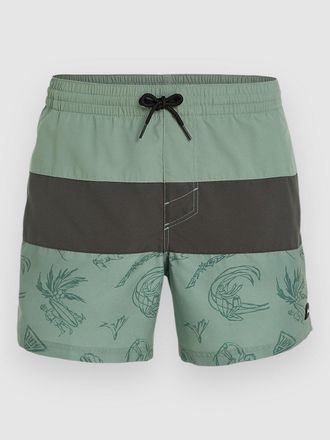 O'Neill Mix & Match Cali Block 15 Boardshorts groen