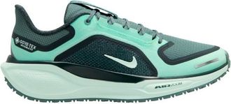 Nike Pegasus 41 GTX Road Running Shoes Runningschuhe für Damen | bunt