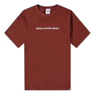 Nike ACG NRG Glacier T-Shirt Oxen Brown DV9625-217