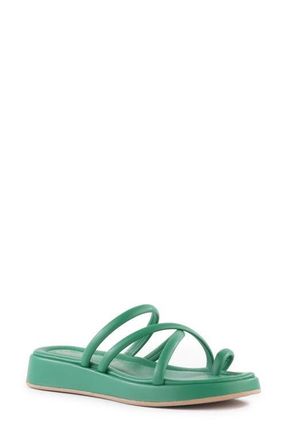 Seychelles Rule the World Platform Wedge Slide Sandal in Green at Nordstrom, Size 6.5