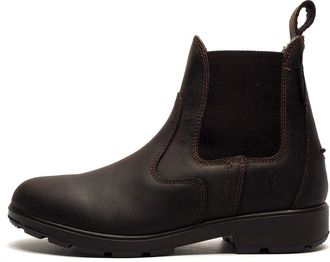 Woodland Womens/Ladies Waxy Leather Chelsea Boots (6 UK) (Brown)