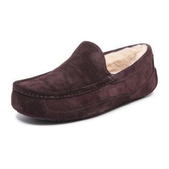 UGG Loafers, male, Brown, Size: 8 US Ascot Slipper