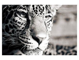 Schubiger M&ouml;bel Digitaldruck auf Acrylglas Leopard