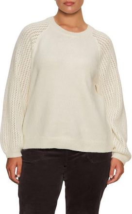 Sanctuary Cozy Moment Pointelle Sleeve Sweater in Chalk White at Nordstrom, Size 2X