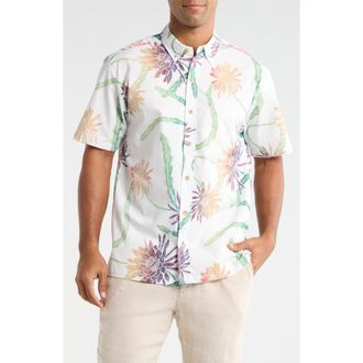 Kahala Night Shades Print Cotton Short Sleeve Button-Down Shirt in Off White at Nordstrom, Size Xx-Large