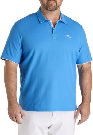 Tommy Bahama Big & Tall Flamingo Mingle Five OClock IslandZone Polo Shirt in Download Blue at Nordstrom, Size Xx-Large