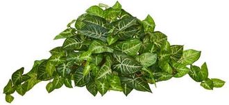 Nearly Natural 36-in Nephthytis Artificial Ledge Plant in Green at Nordstrom