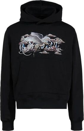 Amiri Hoodies, male, Black, S, Pegasus Script Logo Hoodie