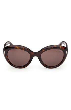 Tom Ford Stacy 53mm Cat Eye Sunglasses in Dark Havana /Chocolate Lens at Nordstrom