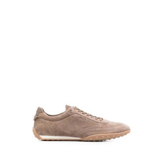 Tod's Heren, Schoenen, Bruin, Maat: 42 EU