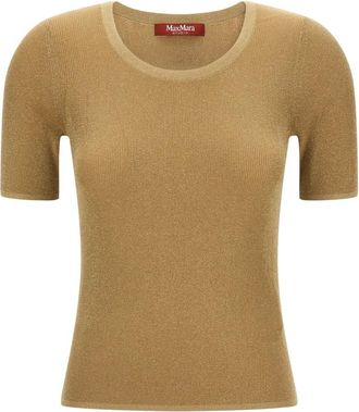 Max Mara Truien & Vesten, Dames, Bruin, XS, T-Shirts