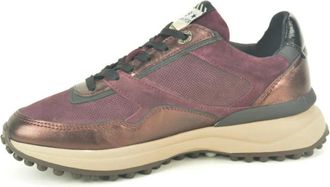 Floris Van Bommel Bordo Combi Runner N. - Dames - Sneakers - Veelkleurig - 37 EU - Schoenen