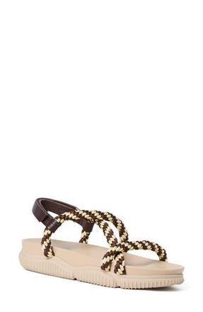 Loeffler Randall Ozzy Sport Sandal in Cream/Brown/Butter at Nordstrom Rack, Size 8.5