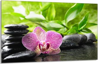 OEM Placa Protectora De Vidrio Para La Estufa 80x52 Orchidea