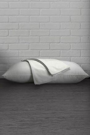 Ella Jayne Home White Cotton Percale Standard Pillow Protector - Set of 2 at Nordstrom Rack, Size King