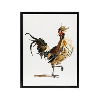 Artery8 A Rooster Watercolour Painting Johan Teyler Black Framed Canvas Art in White | Size: W24 x H32