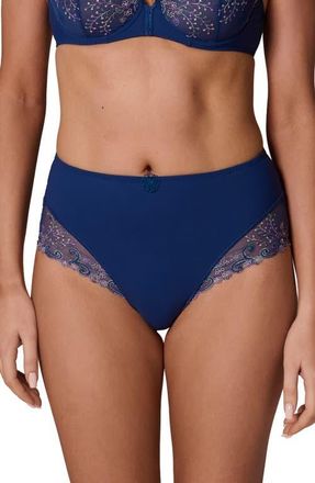 Simone P&eacute;r&egrave;le Delice Retro Briefs in Rainbow Blue at Nordstrom, Size X-Large