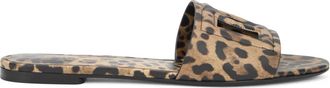Dolce & Gabbana Schoenen, Dames, Veelkleurig, 40 EU, Leer, Ciabatta Animalier