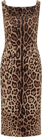 Dolce & Gabbana Brown Animal Print Square Neck Dress
