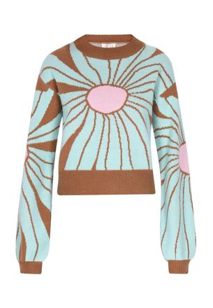 Izia Jumper Dames Bruin aqua