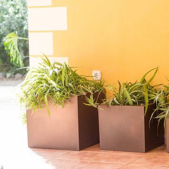 OEM Narciso 50 Macetero Cuadrado De Interior Y Exterior Para Plantas Y Flores Muy Resistente Al Paso Del Tiempo. Hecho De Polietileno En Espa&ntilde;a - Bronce